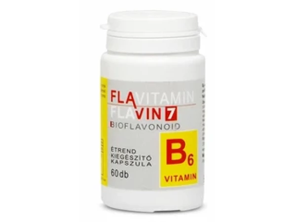 Flavin Flavitamin B6  60db (2025.03.28)